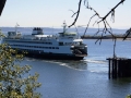 Ferry at Winslow