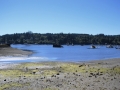 Eagle Harbor at low tide