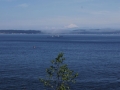 24-FoulweatherBluff_MtBaker