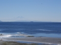 View from dock of Mt.Rainier & W