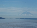 View SEast From Dock