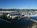 The Kingston Marina