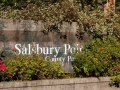 Welcome to Salsbury Park