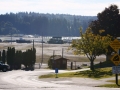 View of the log yard