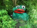 Frog Rock