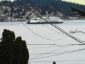 Port Orchard