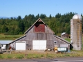 15-Rural-Hansville-Farm